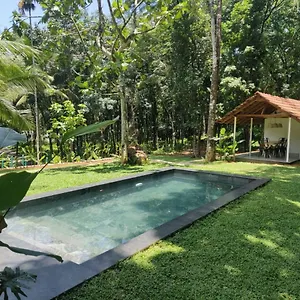 https://pool-villa-the-humming-trees-pala.kerala-hotels.net